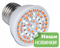 Новинка – мощная и недорогая светодиодная лампа для растений!
