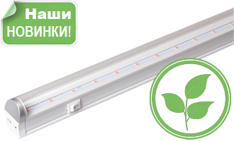 Фито-светильники JazzWay на нашем складе!