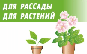 Новинки светодиодного освещения — фитолампы для рассады и комнатных растений