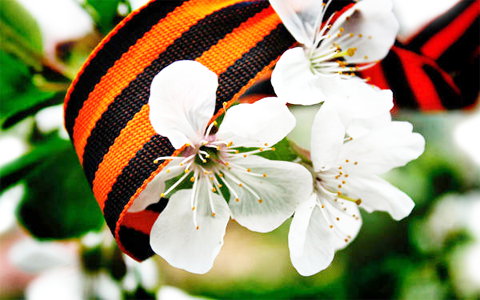 Расписание работы магазина в майские праздники