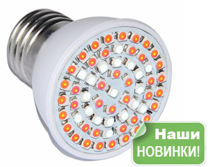 Новинка – мощная и недорогая светодиодная лампа для растений!