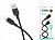 Кабель USB - USB Type-C BOROFONE BX113, (черный) 2метра силиконовый